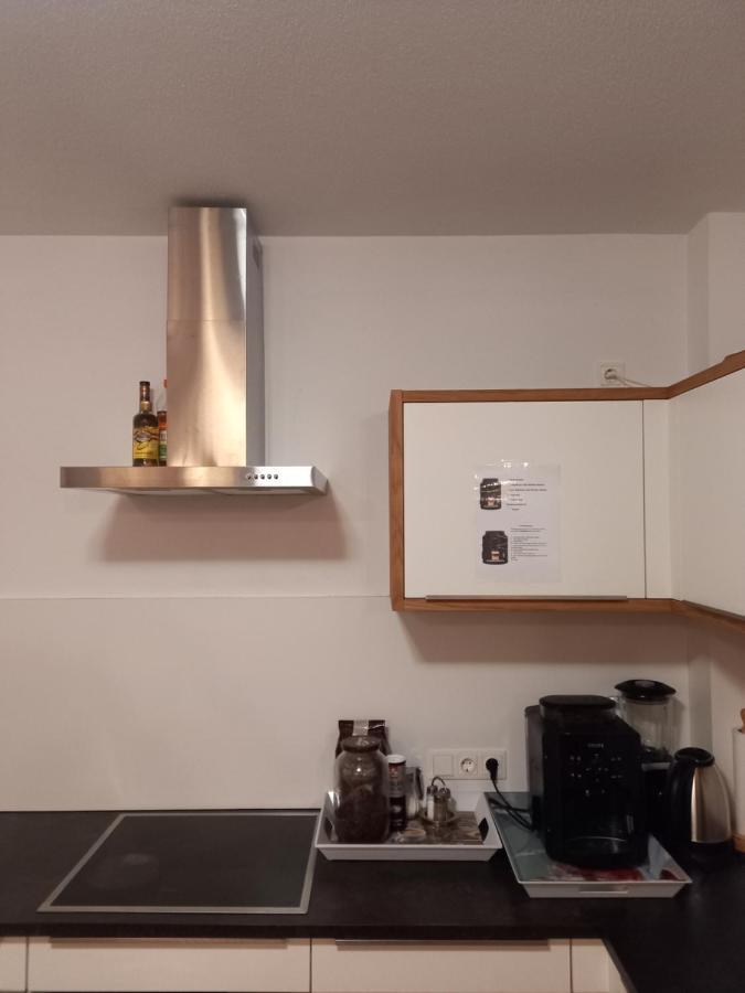 Grosszuegiges Apartment Georg Mayrhofen Barrierefrei Hollenzen Exteriér fotografie